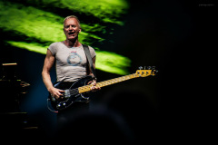 sting2024-2