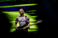 sting2024-20