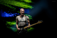 sting2024-22