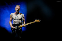 sting2024-23