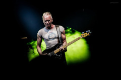sting2024-24