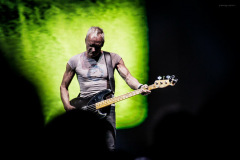 sting2024-25