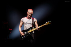 sting2024-29