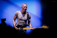 sting2024-3