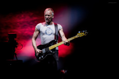 sting2024-30