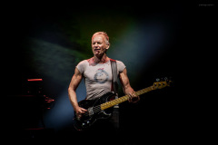 sting2024-31