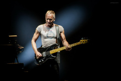 sting2024-33