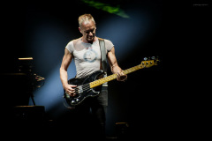 sting2024-34