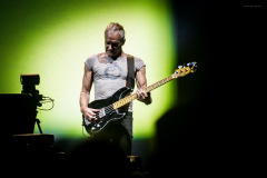 sting2024-35
