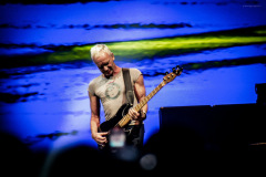 sting2024-40