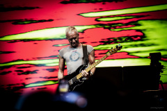 sting2024-41
