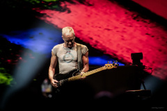 sting2024-42