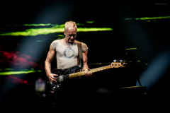 sting2024-43