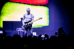 sting2024-46
