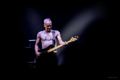 sting2024-47
