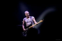 sting2024-48