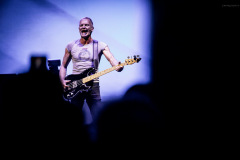 sting2024-49