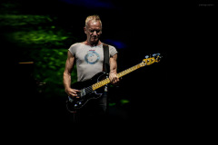 sting2024-5