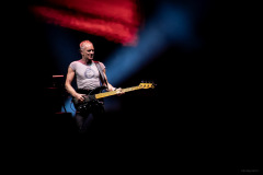 sting2024-50
