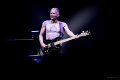 sting2024-55