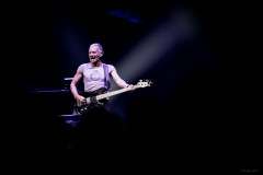 sting2024-56