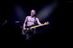 sting2024-6