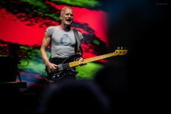 sting2024