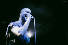 stonedirt-13