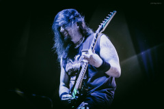stonedirt-20
