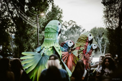 sziget2025-17