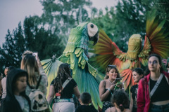 sziget2025-34