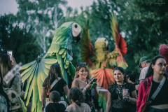 sziget2025-35