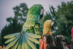 sziget2025-36