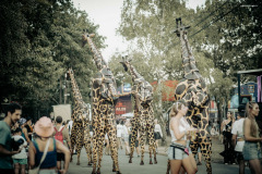 sziget250810-32
