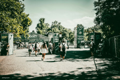 sziget250810-58