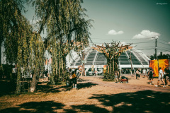 sziget250810-59