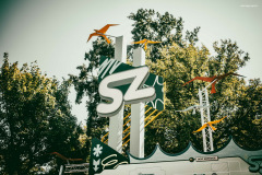 sziget250810-6