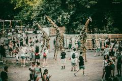 sziget250810-67