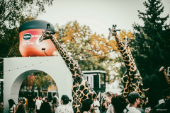 sziget250810-68