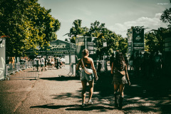 sziget250810-7