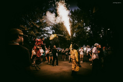 sziget250810-72