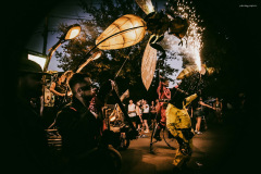 sziget250810-74