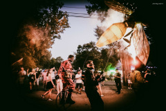 sziget250810-77