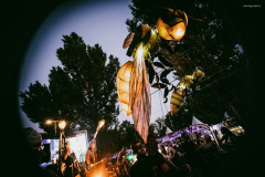 sziget250810-81