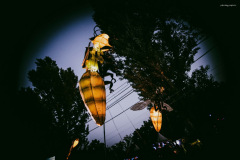 sziget250810-82