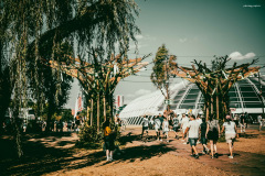 sziget250810-9