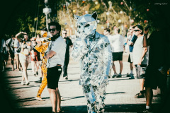 sziget2026-111