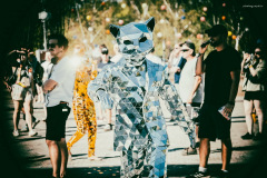 sziget2026-112