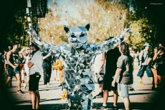 sziget2026-113
