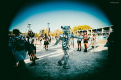 sziget2026-115